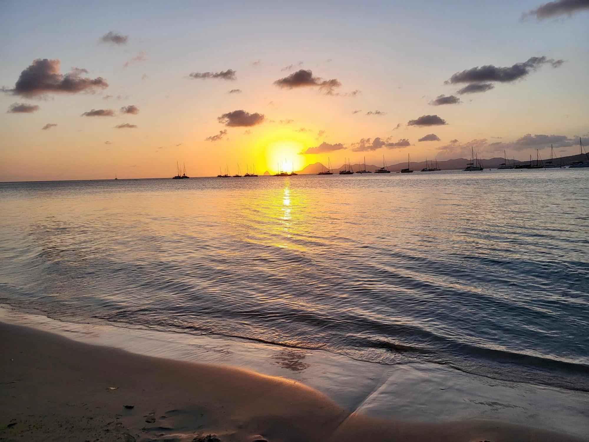 Vue Magnifique Sur La Nature , Proche Des Plages 4 A 6 Pers Rivière-Pilote Buitenkant foto